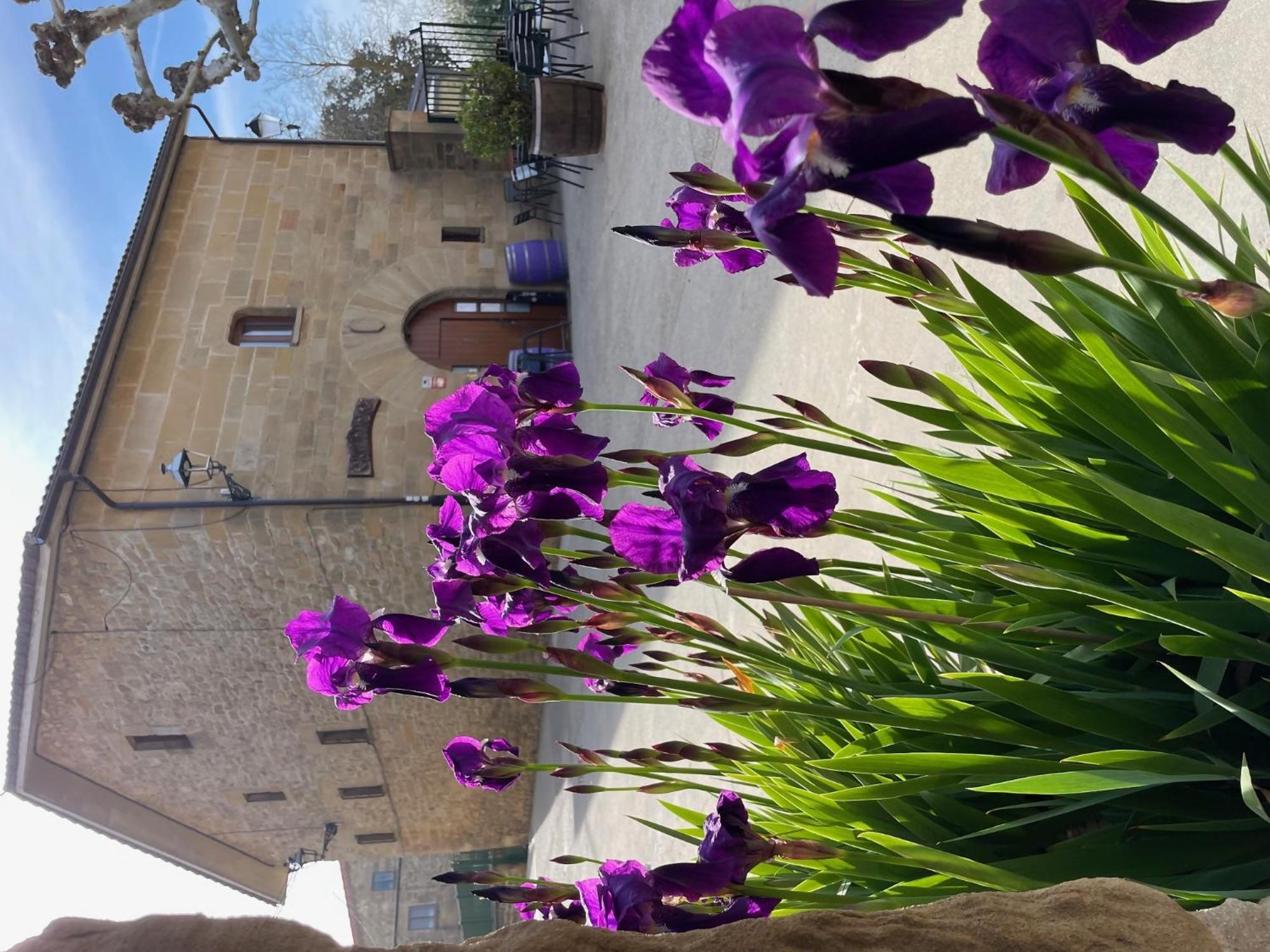 La Posada De Leza La Guardia Exterior foto